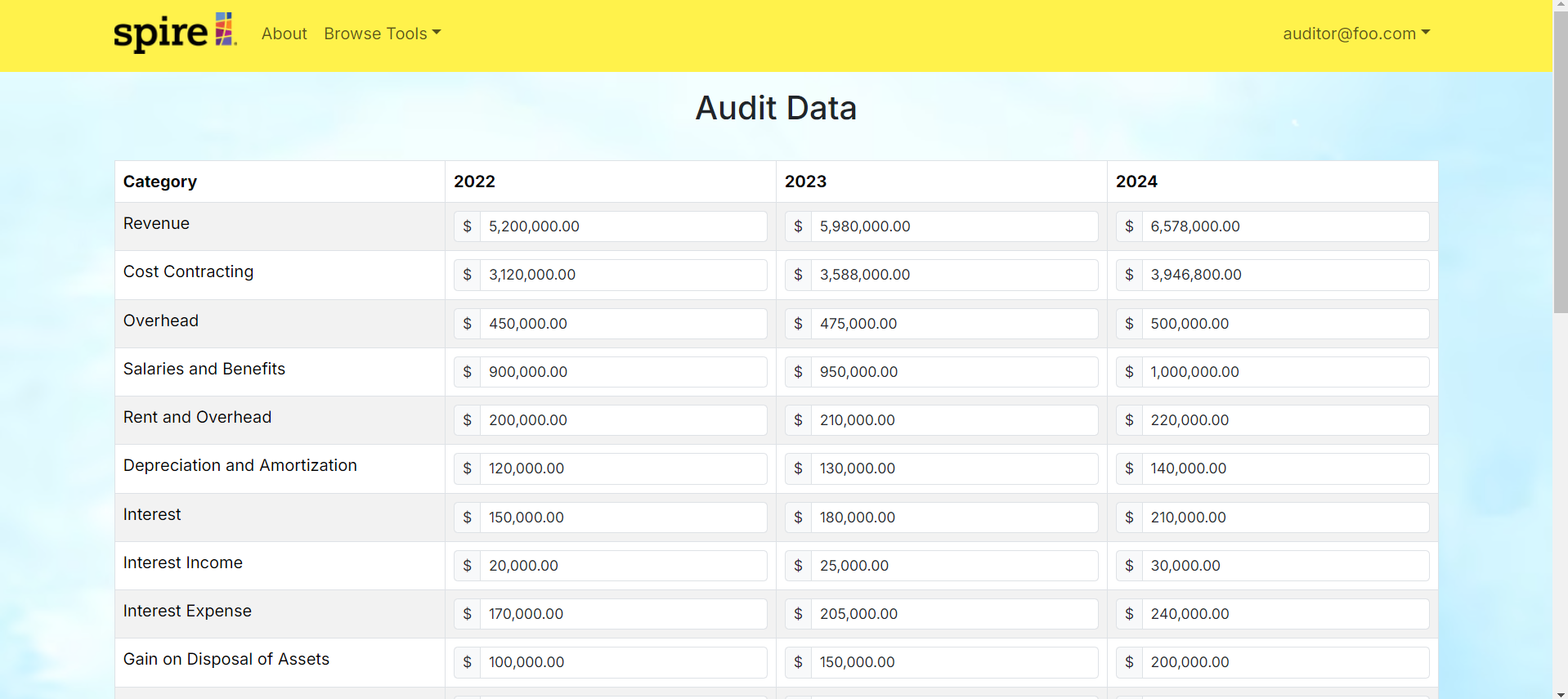 audit data form